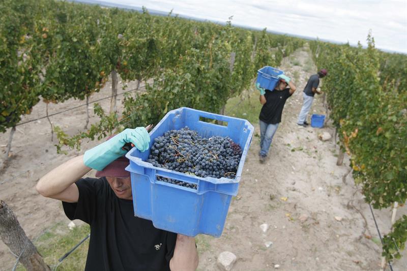  O governo argentino desiste de aumentar o imposto sobre vinhos e vinhos espumantes